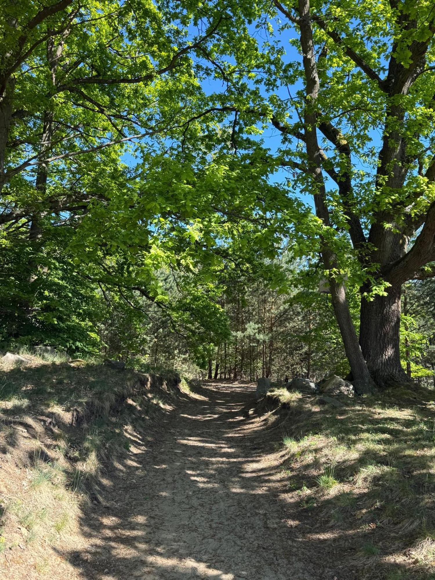 Ferienpark-Canow Buitenkant foto
